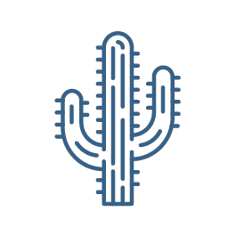 blue icon describing the fun fact described on the right