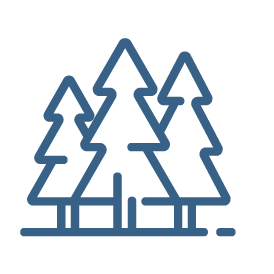 blue icon describing the fun fact described on the right